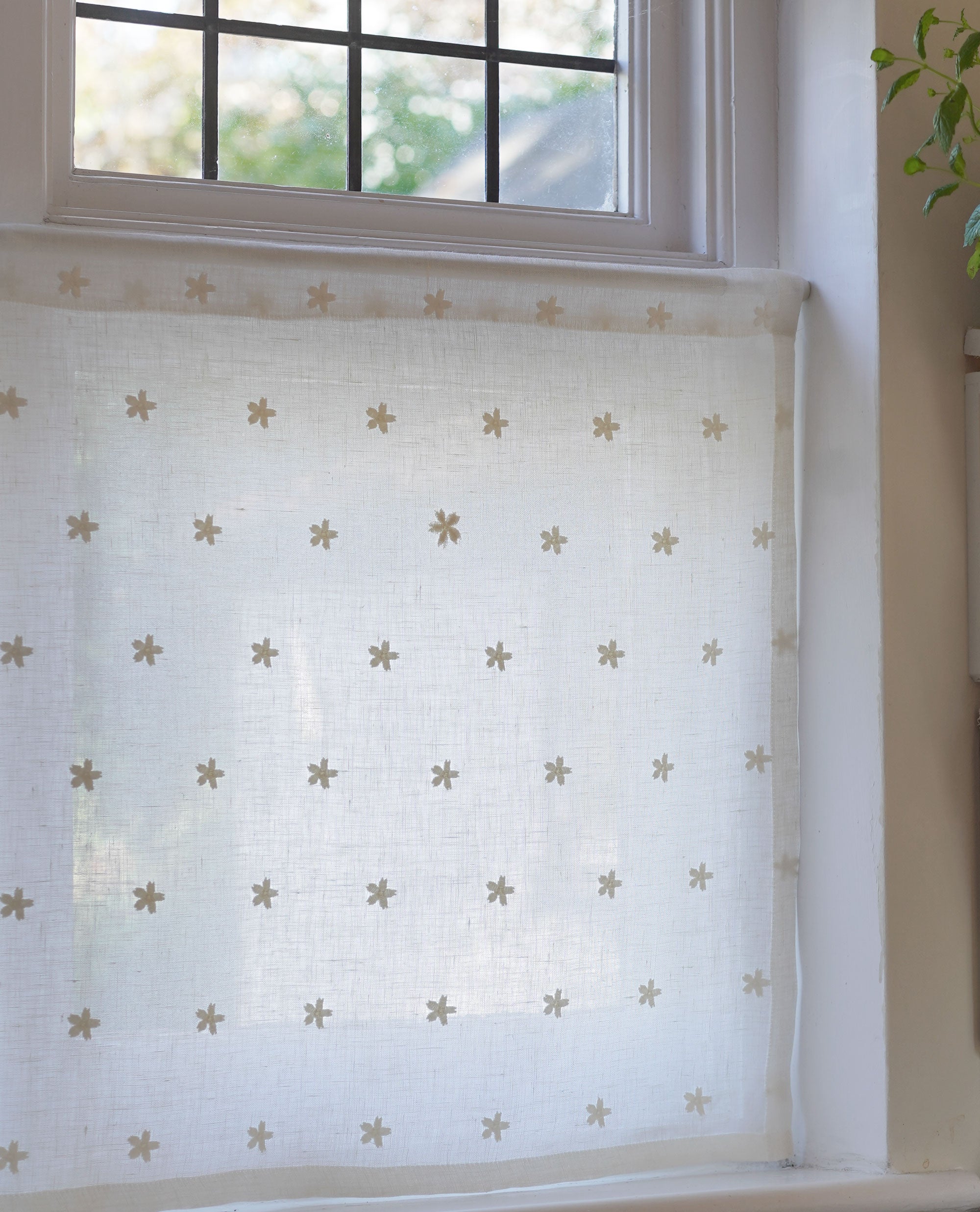 Mitton Daisy Slot Top Cafe Curtain