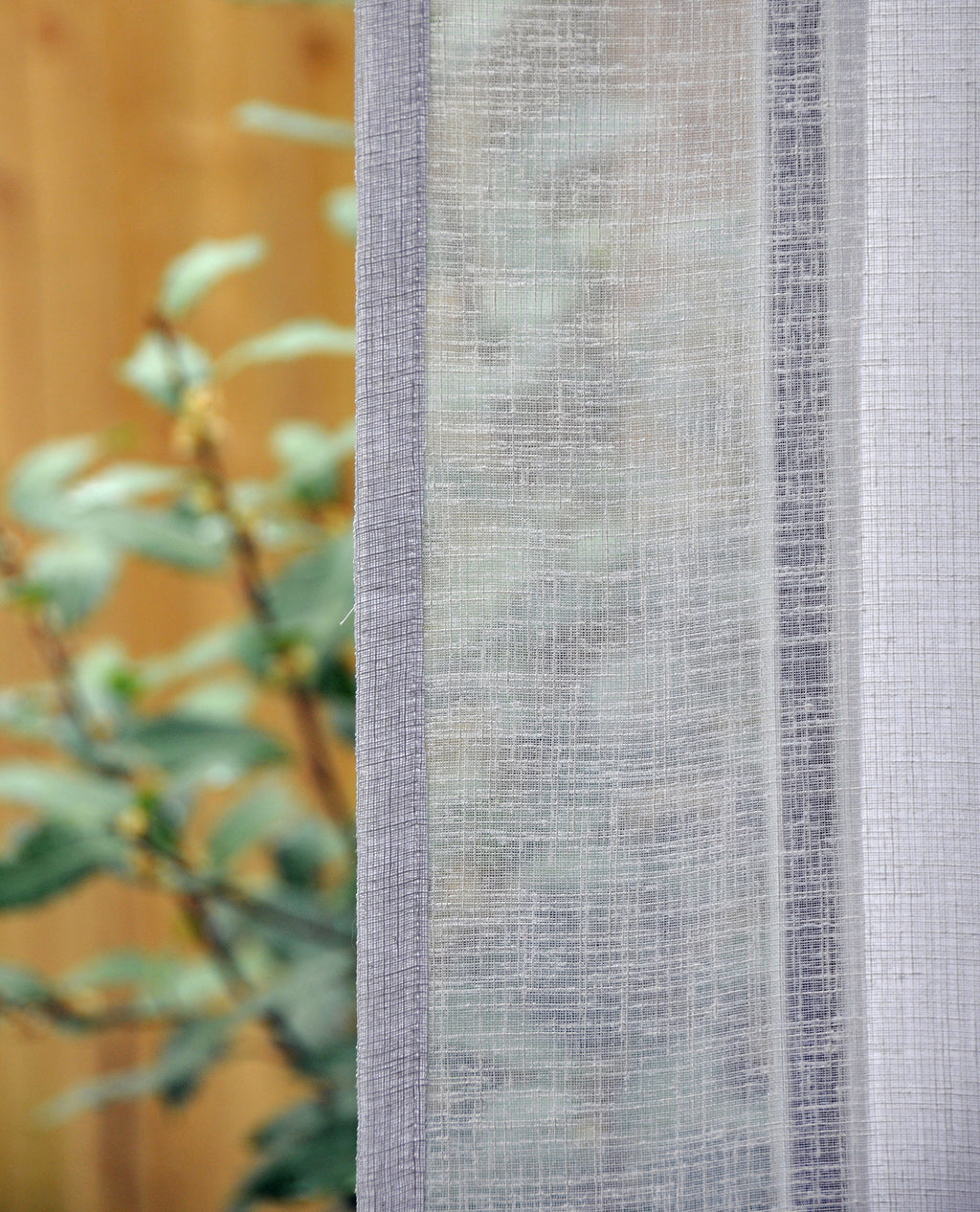 Kedleston Voile M2M