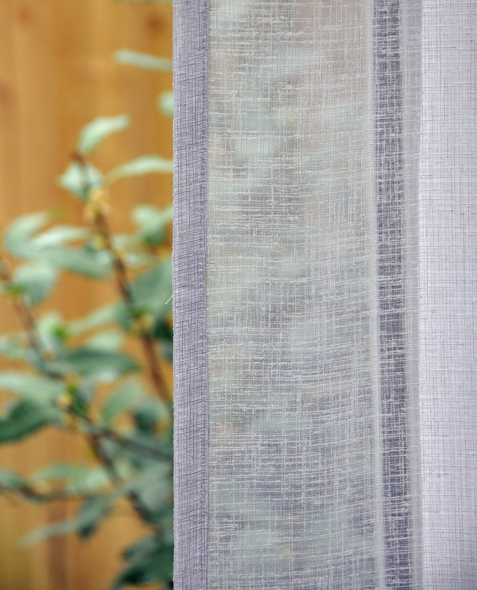 Kedleston Voile M2M